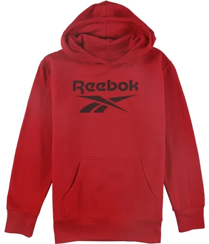 Reebok Boys Classic Hoodie Sweatshirt, TW1