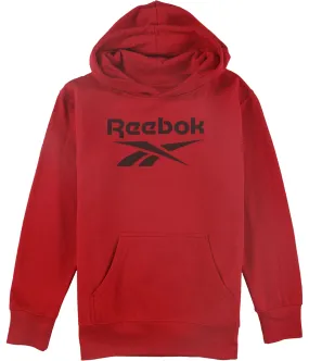 Reebok Boys Classic Hoodie Sweatshirt, TW1