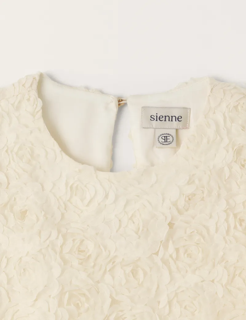 Sienne  |Street Style Plain Short Sleeves Shirts & Blouses